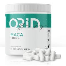 MACA