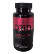 CERAMIDY